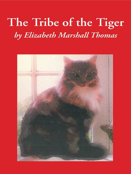 Cover image for The Tribe of Tiger